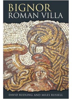 Bignor Roman Villa 