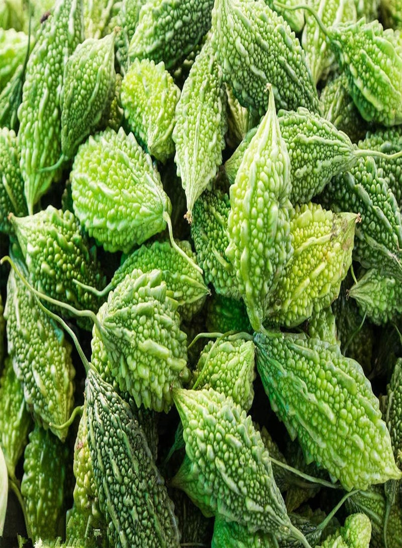 جي جوت 50 قطعة من أطعمة المرارة الأساسية من الفريش الجميلة، لون فريش رائع، توابل نباتية في حديقة فاكهة خضراء جيدة للأطفال - Image 2