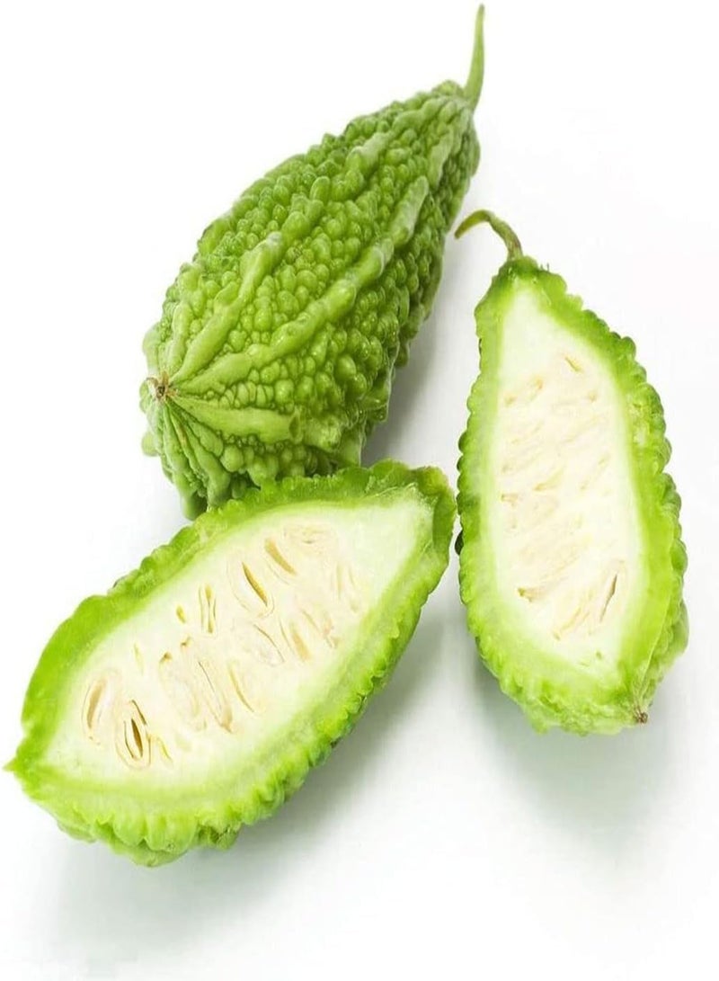 جي جوت 50 قطعة من أطعمة المرارة الأساسية من الفريش الجميلة، لون فريش رائع، توابل نباتية في حديقة فاكهة خضراء جيدة للأطفال - Image 3