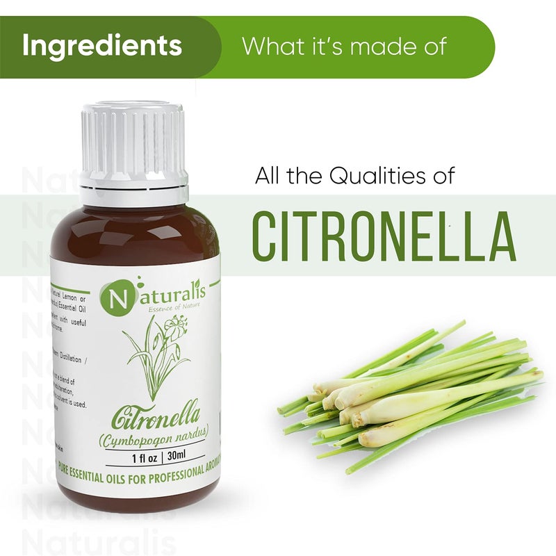 Naturalis Naturalis Essence of Nature Citronella Essential Oil 30ml Pack of 6  - Image 4