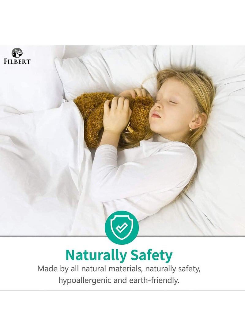 Filbert Filbert Premium 300 GSM Comforter Super Soft Fluffy Revesible Comforter 60 x 90 Inches152cm x 228cm Single Bed ComforterSilverBurgundy  - Image 5