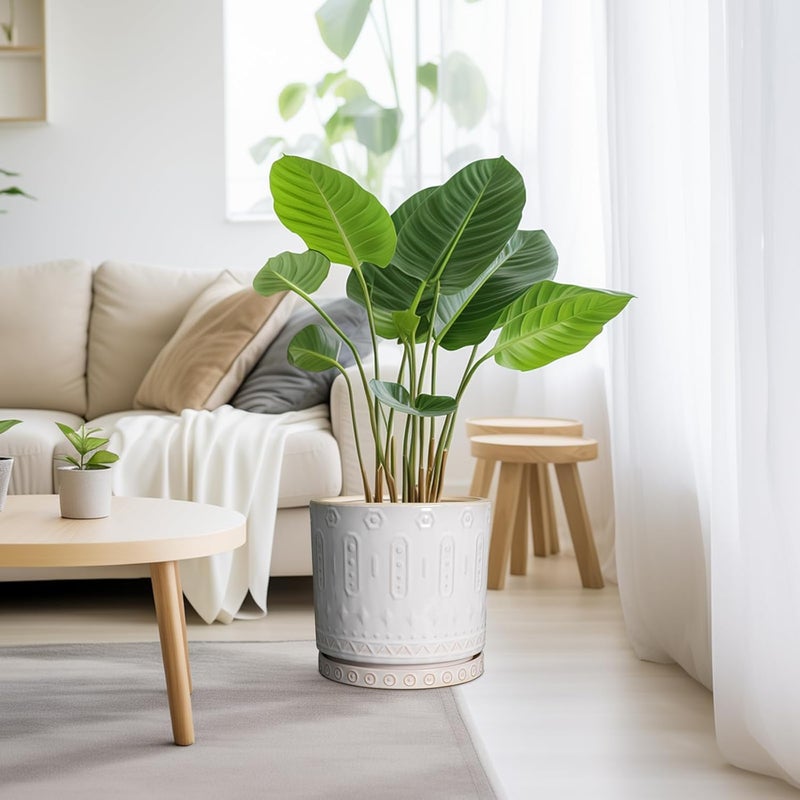 Eightpot Ceramic Planter Pot - 10 Inch Plant Pot for Indoor Outdoor Plants Round Large Flower Pot with Drainage Holes and Saucer for Home Garden Patio Decor White - Image 3