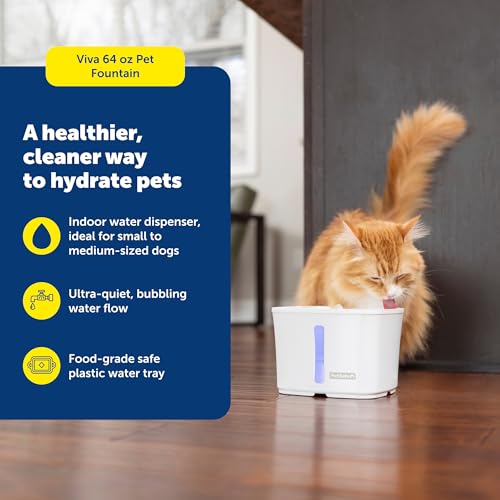 PetSafe Viva Pet Fountain Encourages Healthy Hydration Automatic Water Dispenser with Double Filtration Ultra Quiet Water Fountain Easy to Assemble Clean Stainless Steel 64 oz - Image 3