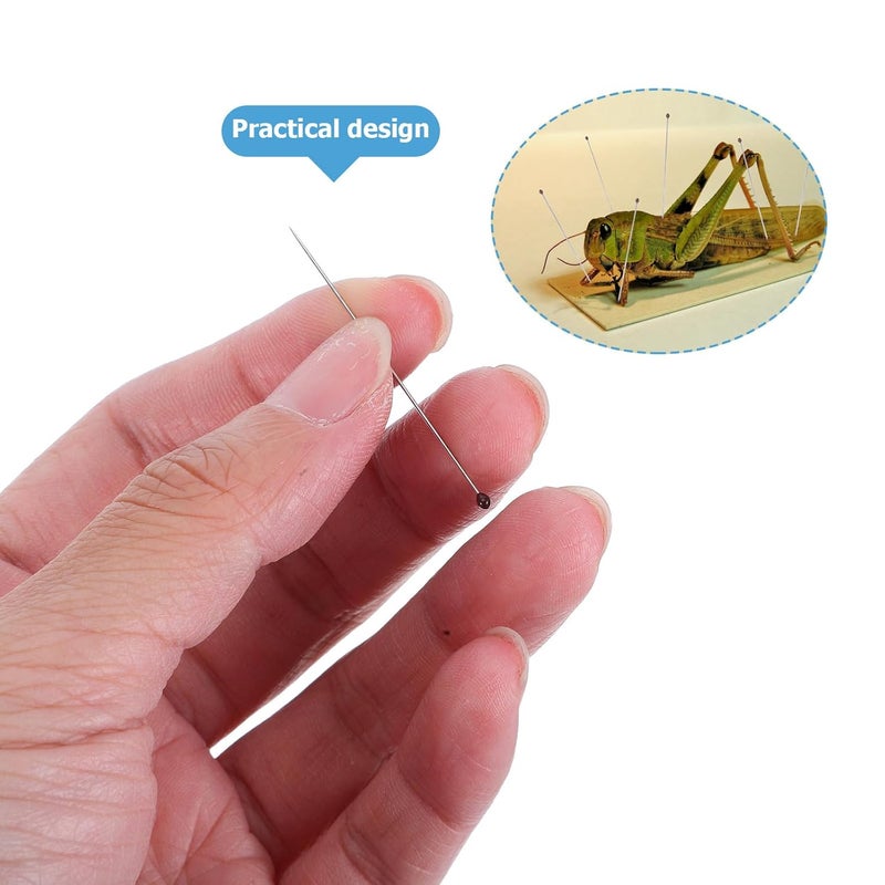 Butterfly Pinning Kit 4 Boxes Stainless Steel Needles Insect Specimen Preservation Tools - Image 4