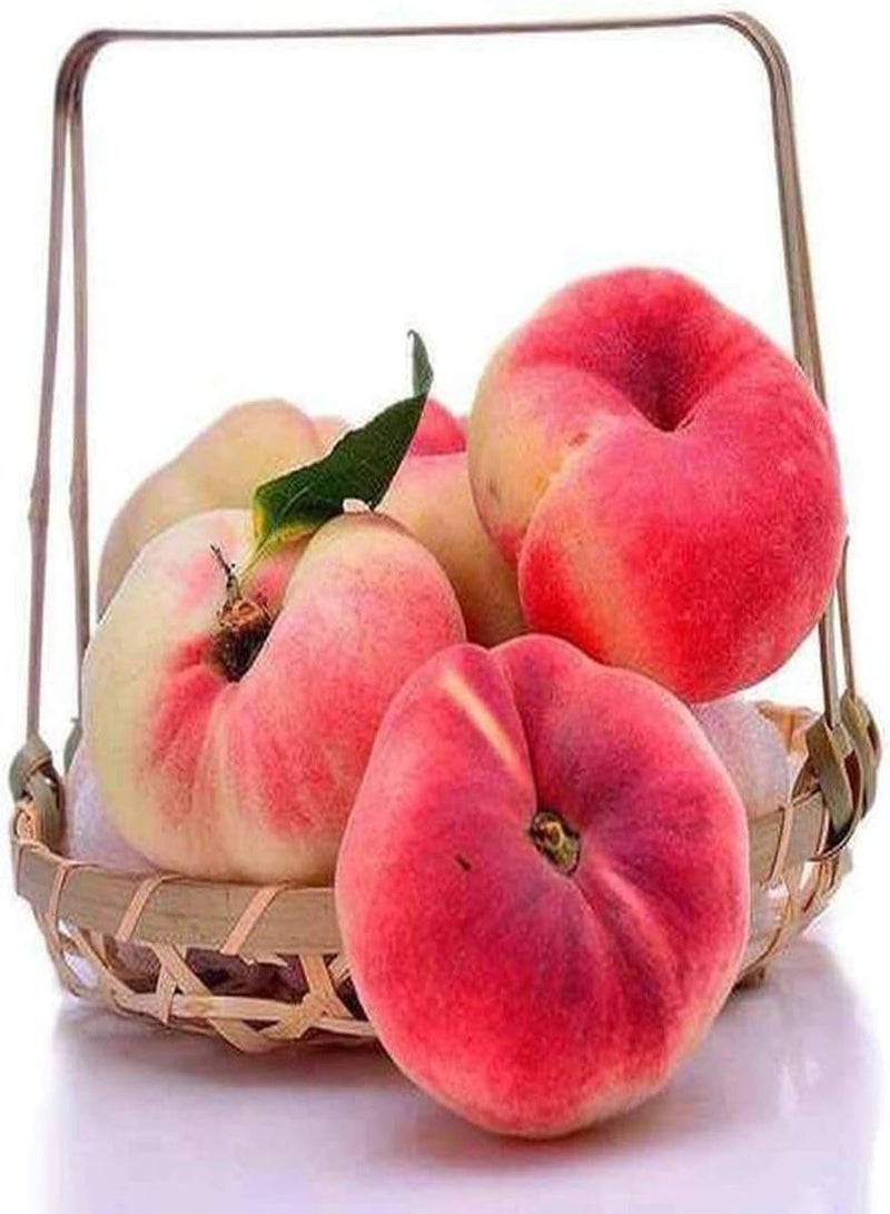 GGOOT 5pcs graines de pêche en Plein air Plantation de pétales en Fleurs attirent les abeilles Papillons au Jardin les Fruits naturels ONT Toujours à la Maison cultiver l'intérêt Pour la Plantation - Image 3