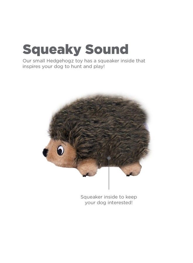 outward hound Hedgehogz Plush Dog Toy Small - Image 4