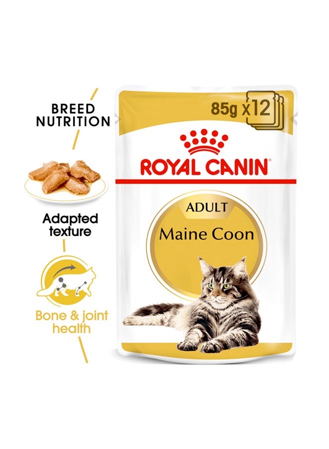 ROYAL CANIN Feline Breed Nutrition Maine (WET FOOD ) - Image 2