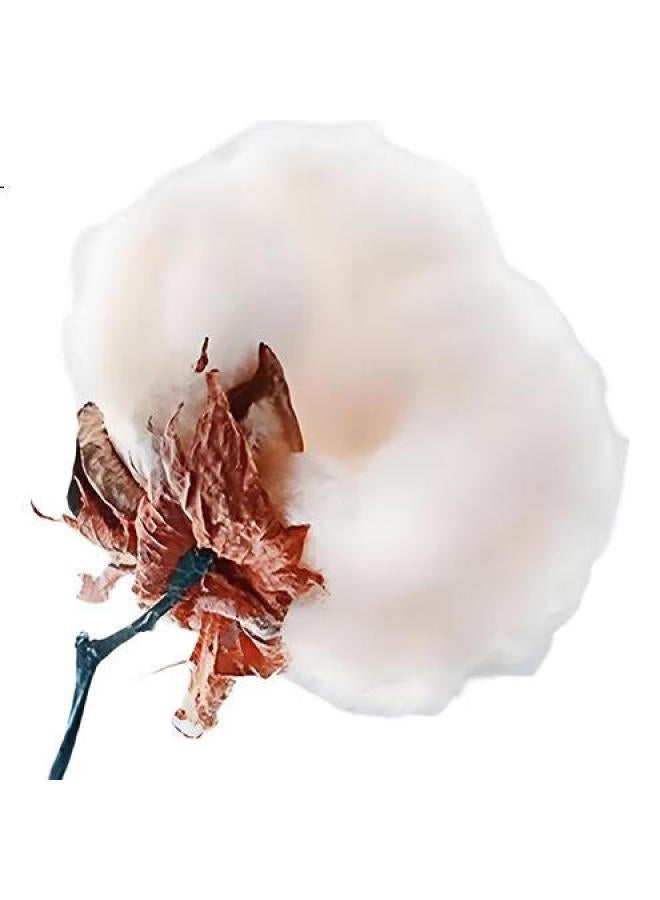 Liberal Men'S Cotton Lounge Shorts For Summer Home Beach Cartoon Aloha Shorts Loose-Fit Printed - Image 2