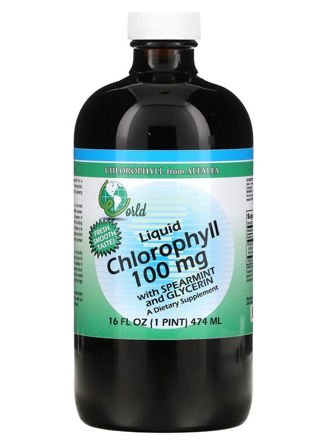 Liquid Chlorophyll with Spearmint and Glycerin 100 mg 16 fl oz (474 ml)