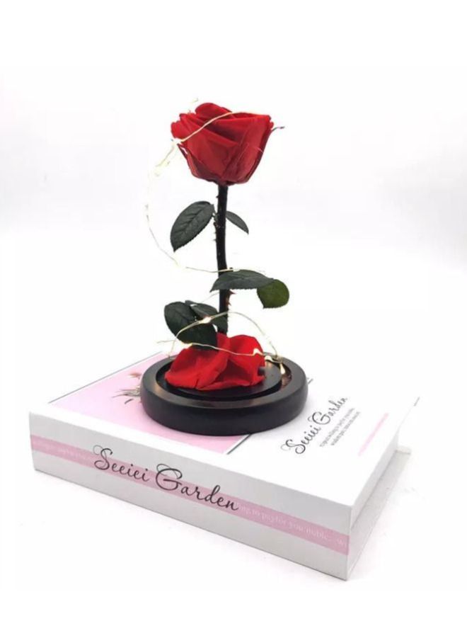 Preserved Rose Enchanted Rose Red Silk Rose in Glass Dome with LED Lights Pine Base Romantic Home Décor Gifts for Mothers Day Wedding Anniversary Birthday - Image 1