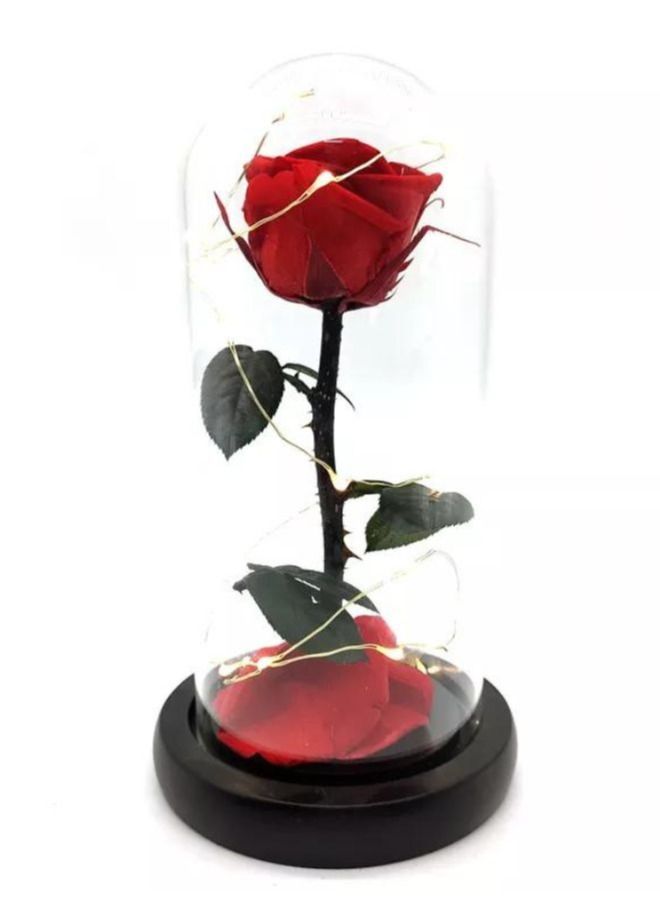 Preserved Rose Enchanted Rose Red Silk Rose in Glass Dome with LED Lights Pine Base Romantic Home Décor Gifts for Mothers Day Wedding Anniversary Birthday - Image 2