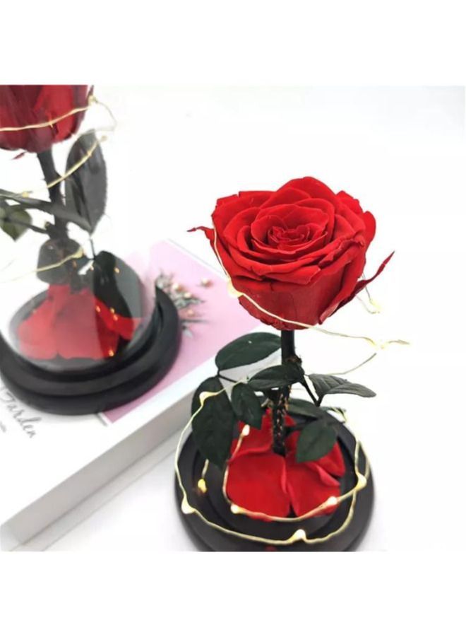 Preserved Rose Enchanted Rose Red Silk Rose in Glass Dome with LED Lights Pine Base Romantic Home Décor Gifts for Mothers Day Wedding Anniversary Birthday - Image 4