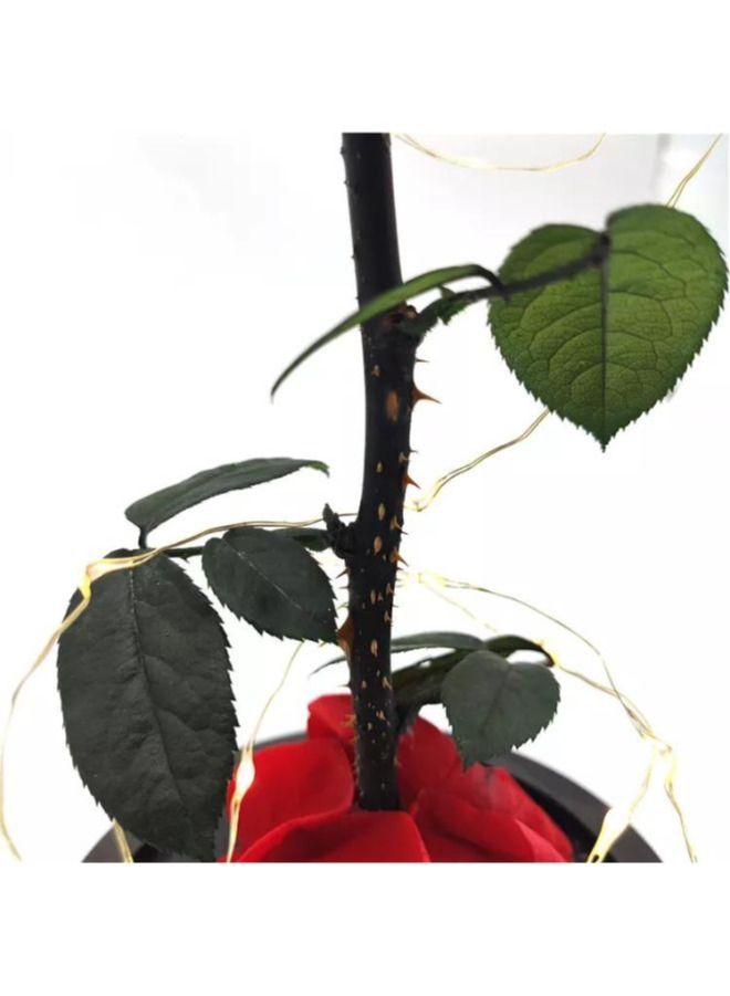 Preserved Rose Enchanted Rose Red Silk Rose in Glass Dome with LED Lights Pine Base Romantic Home Décor Gifts for Mothers Day Wedding Anniversary Birthday - Image 5
