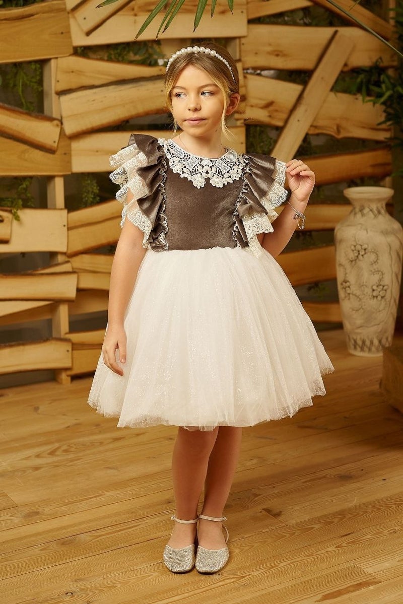 HC Kids Wear Velvet and Tulle Dress  - Image 4