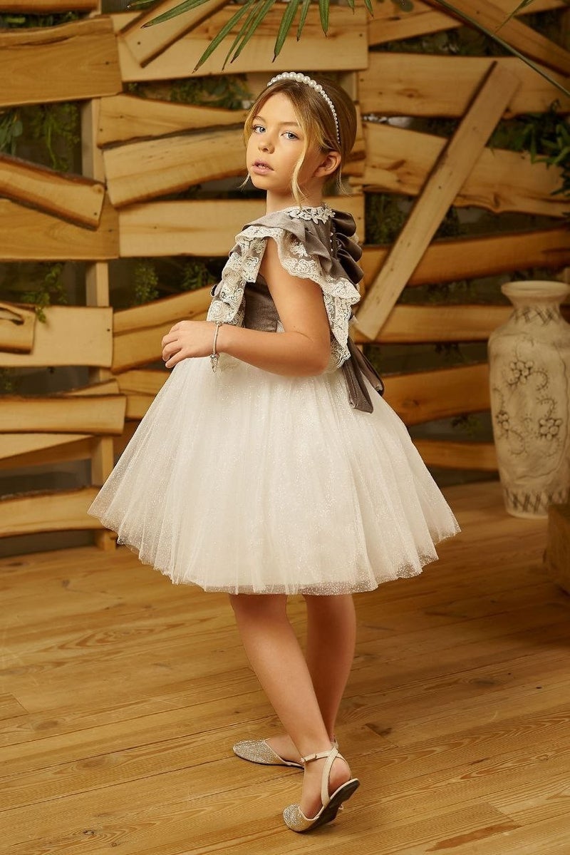 HC Kids Wear Velvet and Tulle Dress  - Image 3