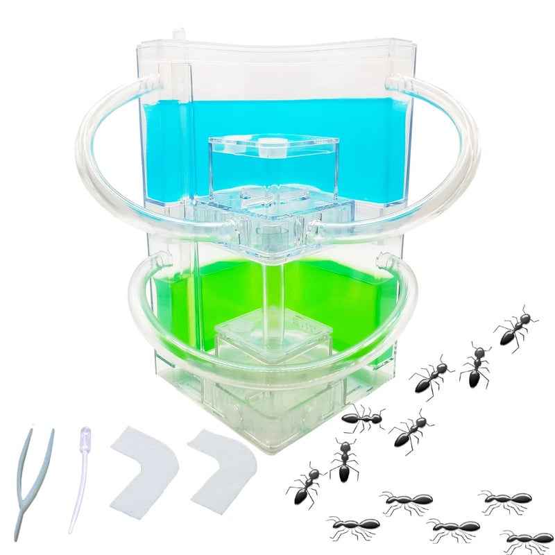 EXBEPE Large 2 Layer Gel Ant Colony Ecosystem Terrarium Ant Habitat Science Learning Kit - Image 2