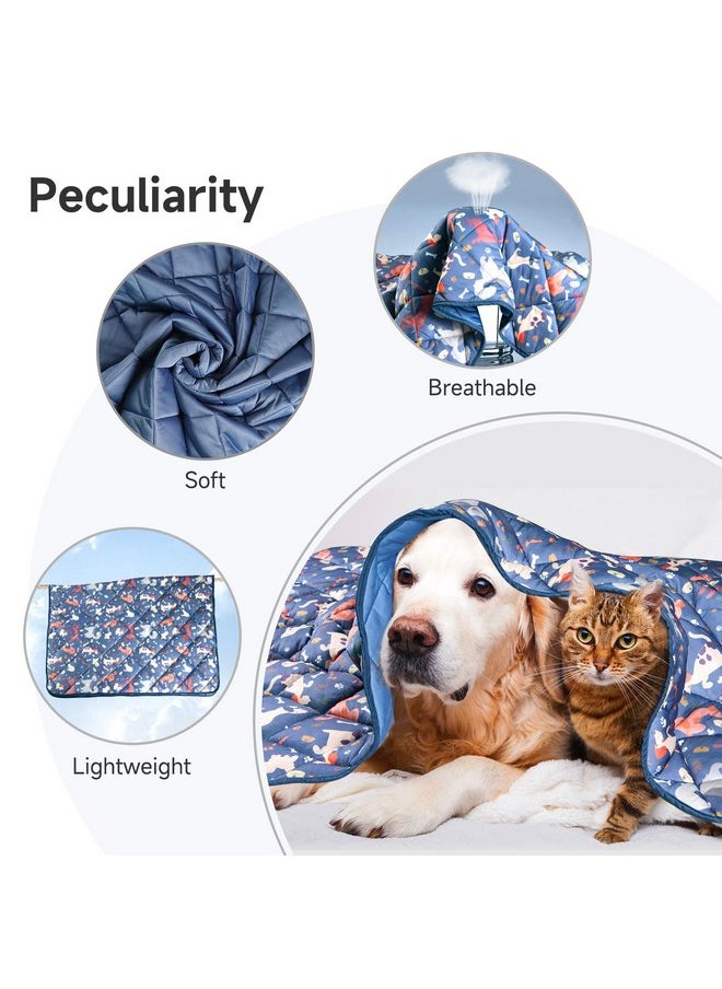 wegreeco Dog Cooling Mat,Lightweight Cooling Blanket for Dogs and Cats,Cooling Pad for Dog Large,Pet Weighted Cooling Blanket for Dogs Cute Dog L - pzsku/Z6579605E6648E9E1A0E3Z/45/_/1737031849/6c03fd4c-aaff-439d-92c5-7f15cc14d8e8