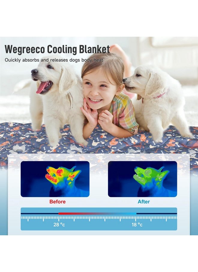 wegreeco Dog Cooling Mat,Lightweight Cooling Blanket for Dogs and Cats,Cooling Pad for Dog Large,Pet Weighted Cooling Blanket for Dogs Cute Dog L - pzsku/Z6579605E6648E9E1A0E3Z/45/_/1737032045/6eb6afa5-649a-49f5-9e63-5d0ad1d864b5