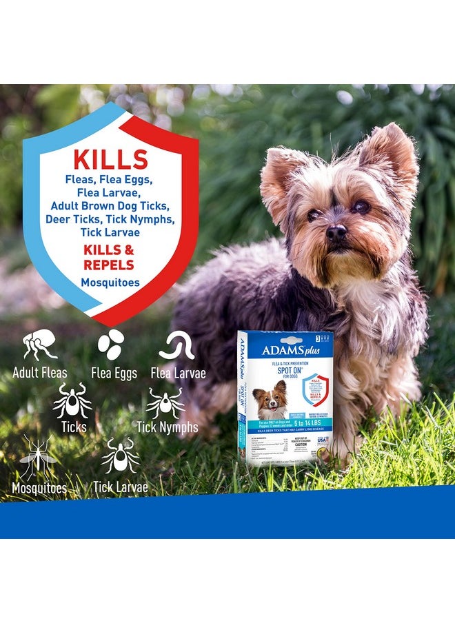 ADAMS Adams Plus Flea & Tick Prevention Spot On for Dogs 5-14 Pounds, 3-Month Supply, Kills Fleas, Flea Eggs, Flea Larvae, Brown Dog & Deer Ticks, Kills and Repels Mosquitoes For 30 Days, Central Brands  - Image 3