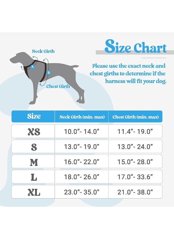 Rabbitgoo - rabbitgoo Dog Harness Medium No Pull Pet Harness with 2 Leash Clips, Adjustable Soft Padded Pet Vest Harness, Reflective No-Choke with Easy Control Handle for Training or Walking - Image 1