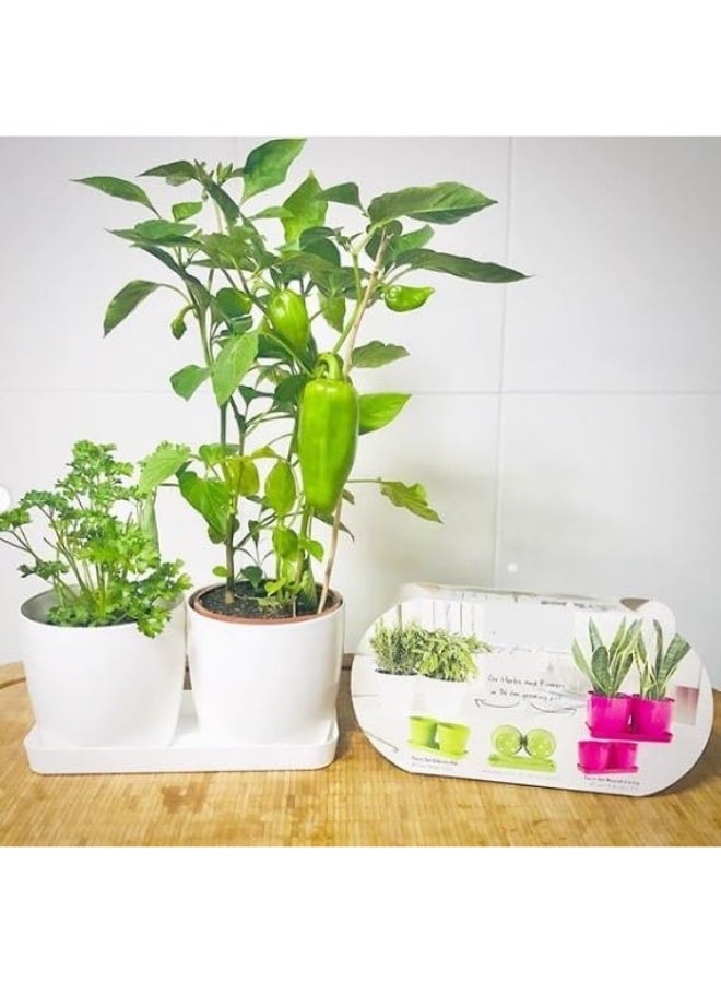 أيدل طقم من 2 وعاء زهور بلاستيكي دائري مع صينية - 14x12 سم أصيص نباتات متين للاستخدام الداخلي والخارجي - أصيص حديقة زخرفي خفيف الوزن بألوان متعددة - دائري للمعيشة - صنع في إيطاليا - Image 2