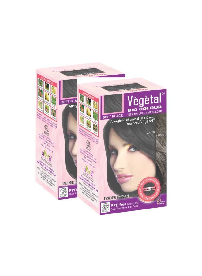 Vegetal Bio Colour -(Pack Of 2) (50G, Dark Brown) - Image 1