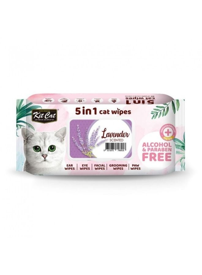 كيت كات مناديل مُبللة مُخصصة للحيوانات الأليفة 5 في 1 برائحة اللافندر متعدد الألوان 20سم