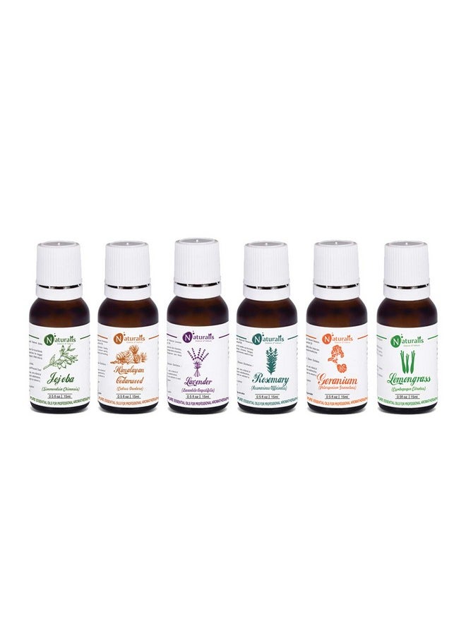 Naturalis 15Ml Essential Oil Gift Pack Of 6 For Hair Care (Jojoba Oil Cedarwood Oil Lavender Oil Rosemary Oil Geranium Oil Lemongrass Oil)  - Image 2