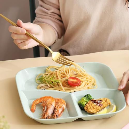 aDai Japanese Style Wheat Straw Fibre Plate, Divided 3-Compartment Square Serving Dish, Microwave & Dishwasher Safe Dinnerware for Lunch, Snacks, Parties (Blue, 2 Pcs) - Image 5