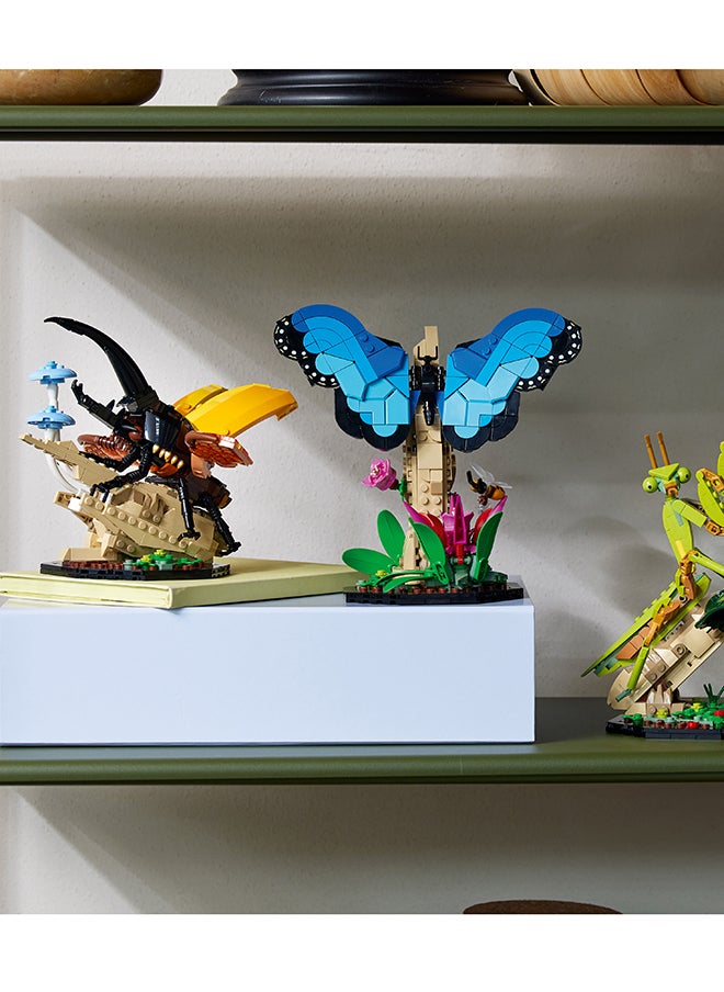 LEGO - Ideas The Insect Collection 21342 Collectible Building Set For Adults; Fun Gift For Nature-Lovers, With Life-Size Display Models Of A Blue Morpho Butterfly, Hercules Beetle And Chinese Mantis (1,111 Pieces) - Image 1