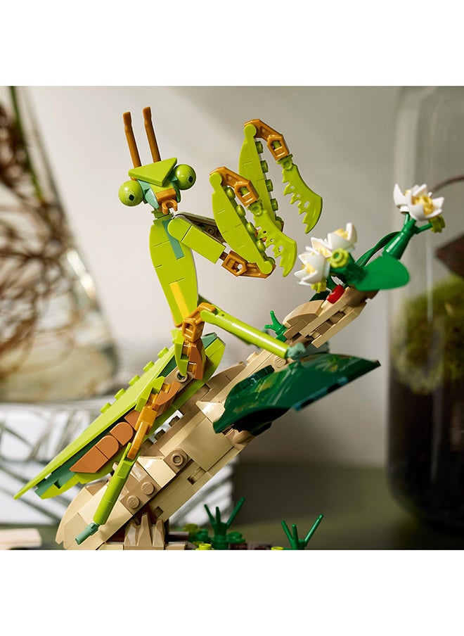 LEGO - Ideas The Insect Collection 21342 Collectible Building Set For Adults; Fun Gift For Nature-Lovers, With Life-Size Display Models Of A Blue Morpho Butterfly, Hercules Beetle And Chinese Mantis (1,111 Pieces) - Image 1