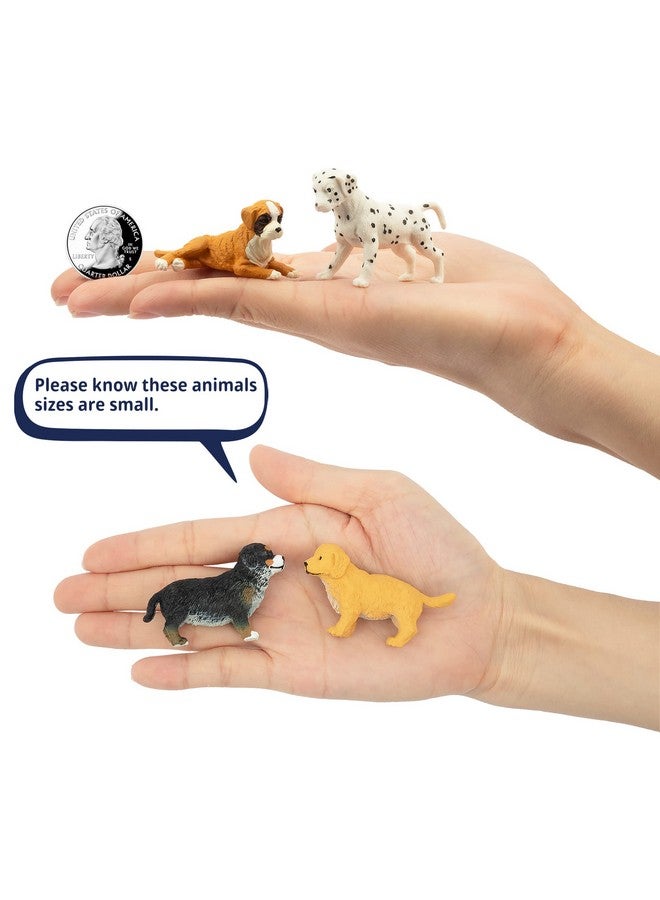 TOYMANY طقم ألعاب تويماني 12 قطعة تماثيل كلاب مصغرة، تماثيل جراء بلاستيكية مفصلة وواقعية، كلاب صغيرة مطلية يدويًا، زينة كعكة هدايا عيد الميلاد أو عيد الميلاد للأطفال الصغار - Image 3