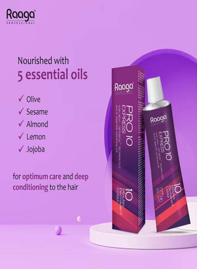Raaga Professional Pro 10 Express Permanent Hair Colour, Instense Dark Brown, 3.00, 90g - Image 2