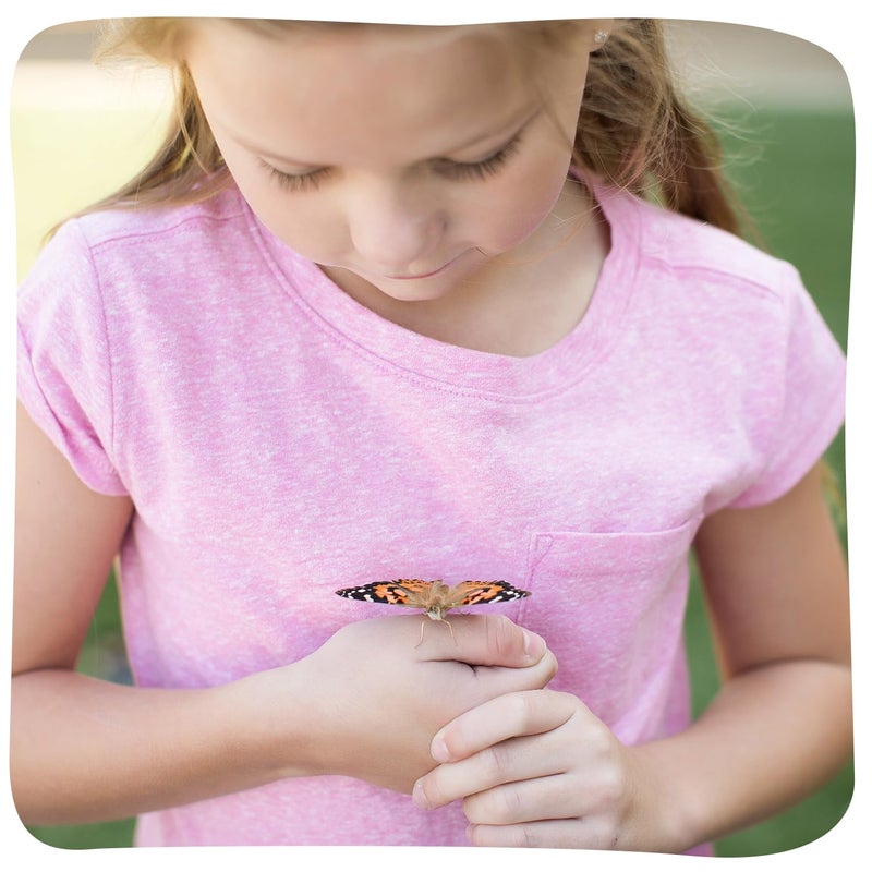 Insect Lore Two Cups of Caterpillars Deluxe - 10 Live Baby Caterpillars with Stickers - Raise and Relase Painted Lady Butterflies - Image 2
