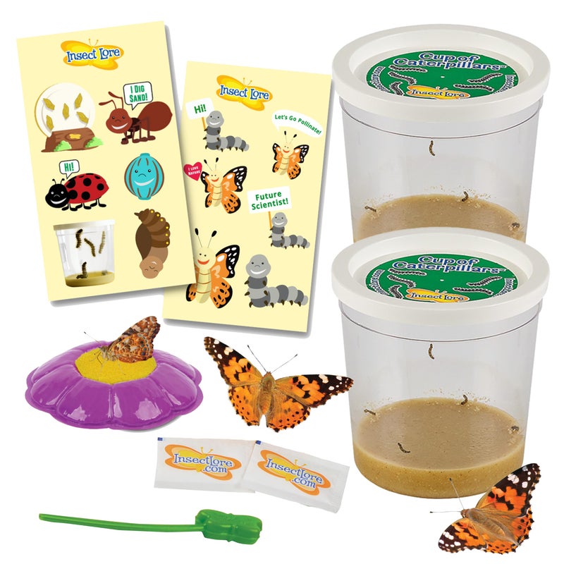 Insect Lore Two Cups of Caterpillars Deluxe - 10 Live Baby Caterpillars with Stickers - Raise and Relase Painted Lady Butterflies - Image 1