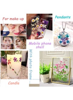 SUPVOX Supvox® DIY Resin Art Decor Natural Dried Flower Set for Resin Art Scented Candle Decor Photo Frame Ornament Room Decoration(Orange)  - Image 3