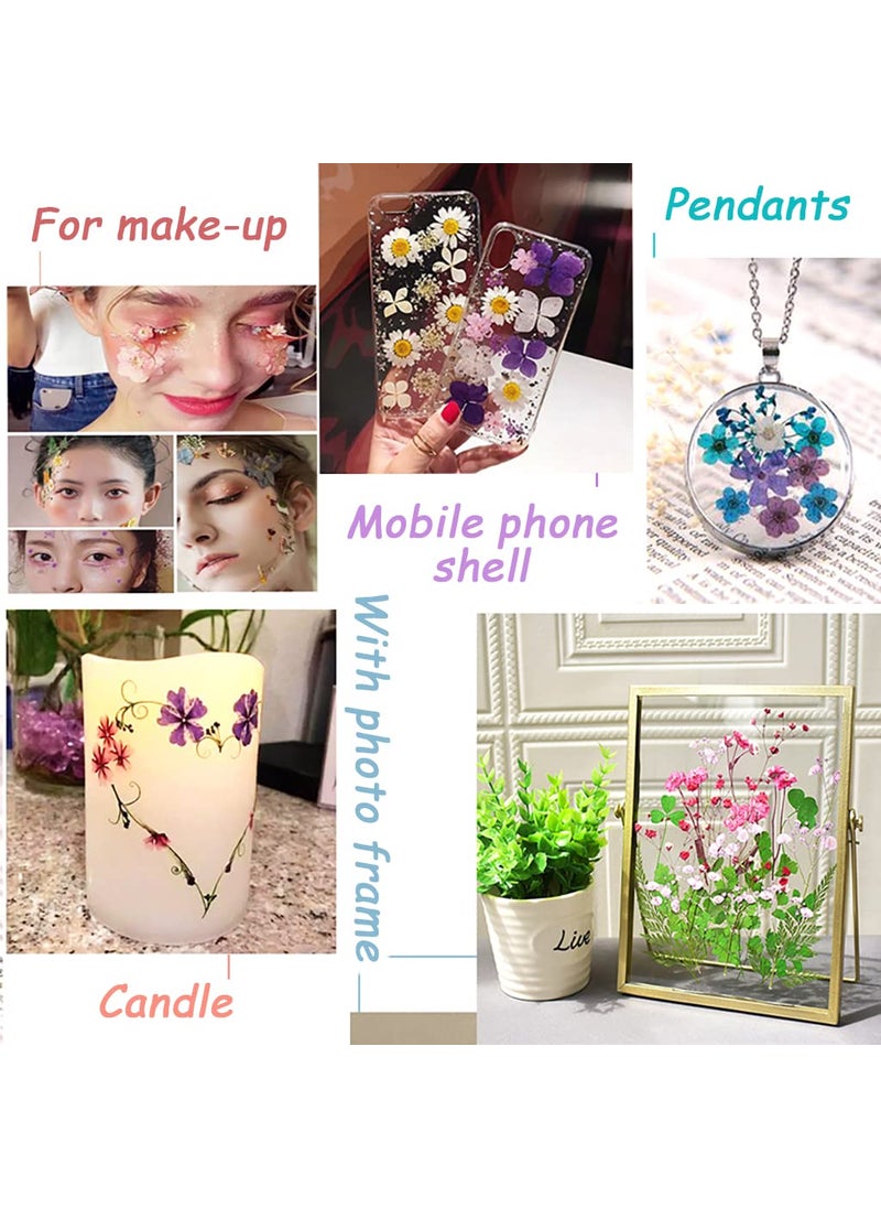 SUPVOX Supvox® DIY Resin Art Decor Natural Dried Flower Set for Resin Art Scented Candle Decor Photo Frame Ornament Room Decoration(Orange)  - Image 3