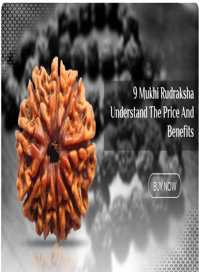 Nau Mukhi Rudraksha أصلي معتمد من Nine Face نيبالي 9 واجه Nav Mukhi Rudrakshaa 9 मुकी रुत्राक्ष नेपाली ओरिगनल للرجال والنساء من IRIS GEMS - Image 5