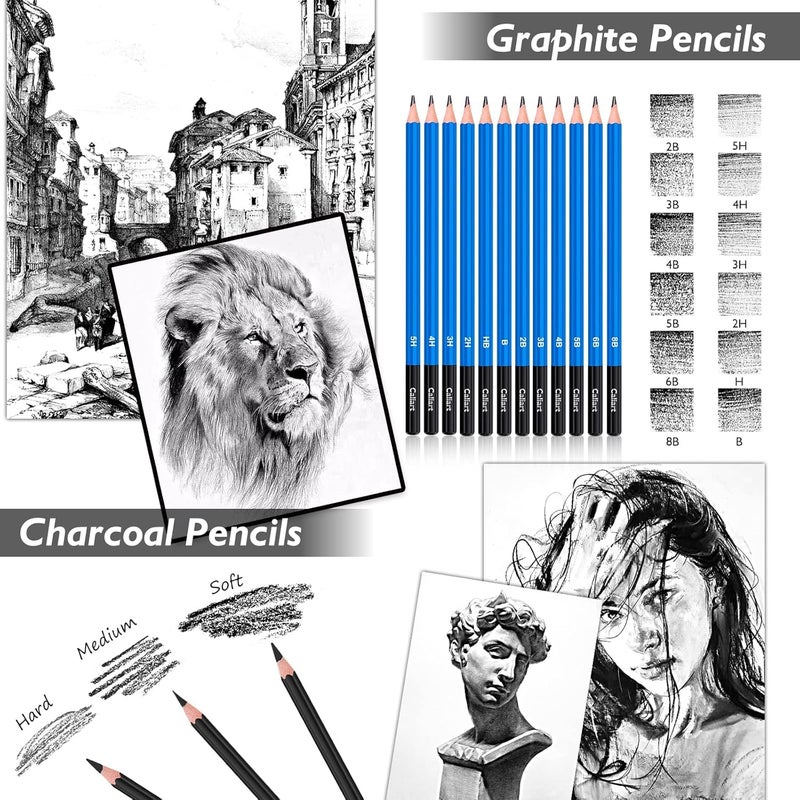 Caliart 176PCS Art Supplies Sketching Kit with 100 Sheets 3-Color Sketch Book, Graphite Colored Charcoal Watercolor & Metallic Pencils, Drawing Supplies Christmas Gifts for Artists Adults Beginners - Image 4