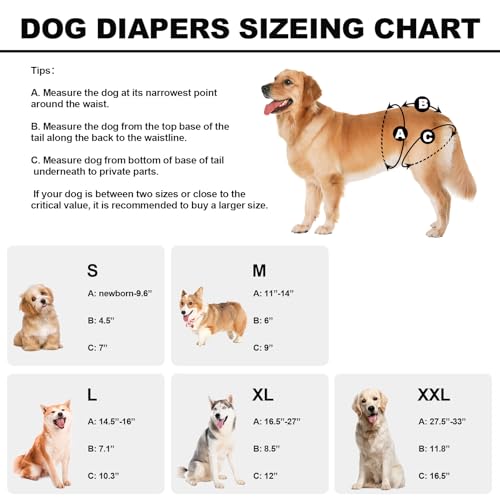 VUNCESSIN Reusable Dog Diapers Female Large Washable, Premium Doggie Diaper for Dogs, Pack of 3, Highly Absorbent Dog Diaper for Heat, Incontinence and Puppy Training(L) - Image 3