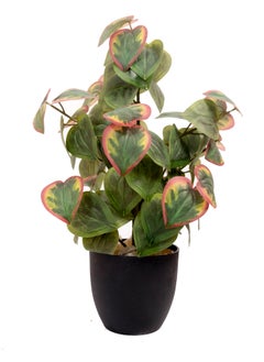 Generic Artificial Tree 68  cm Tall Plant for Interior/Home/Office Décor, Living Room, Bedroom, Kitchen, Durable Plant with Basic Black Pot, Big Natural Looking 