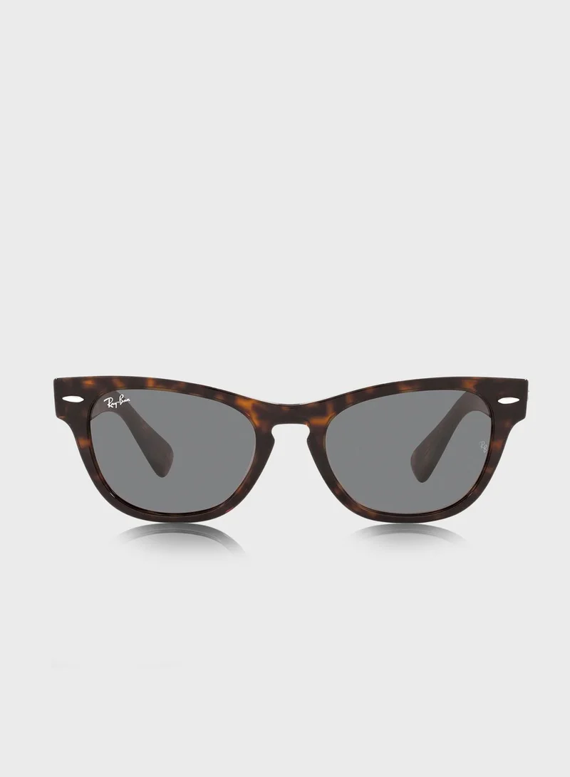 Ray-Ban 0Rb2201 Laramie Irregular Sunglasses