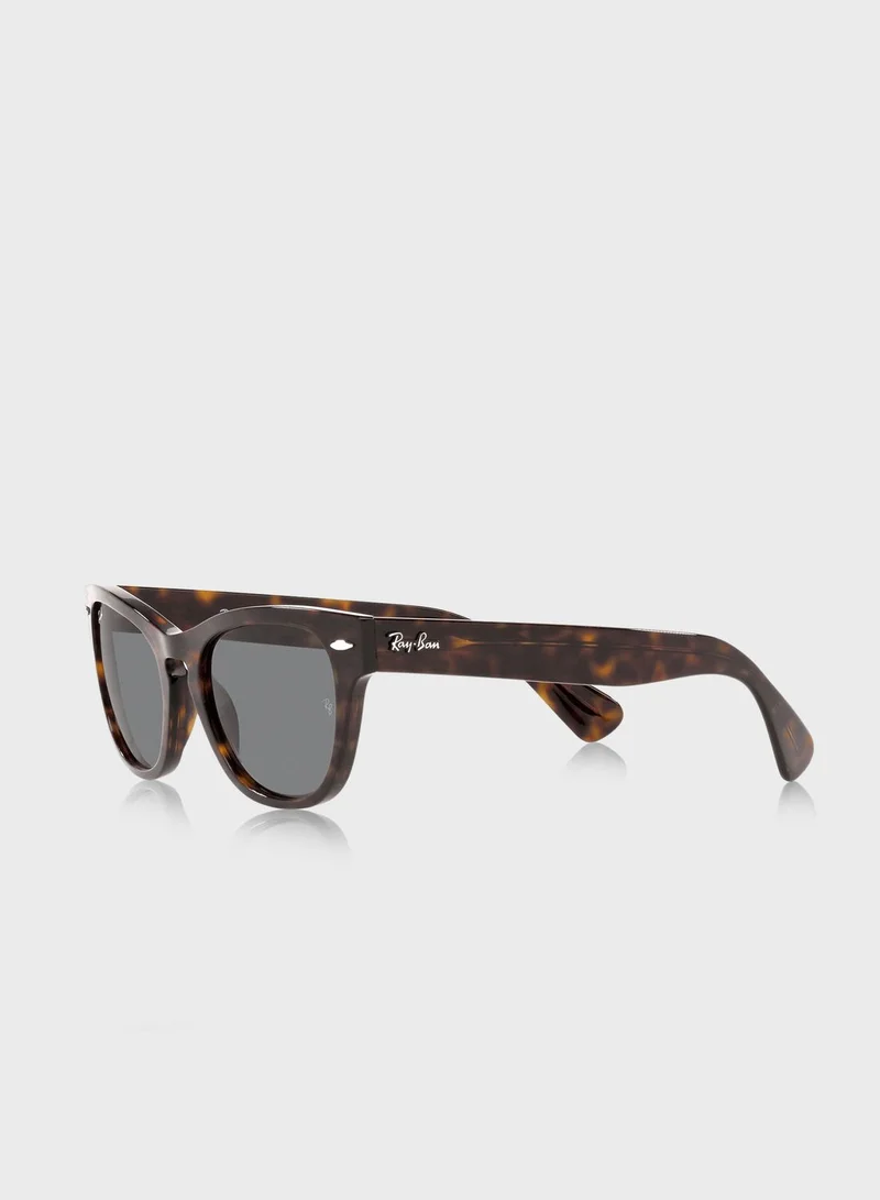 Ray-Ban 0Rb2201 Laramie Irregular Sunglasses
