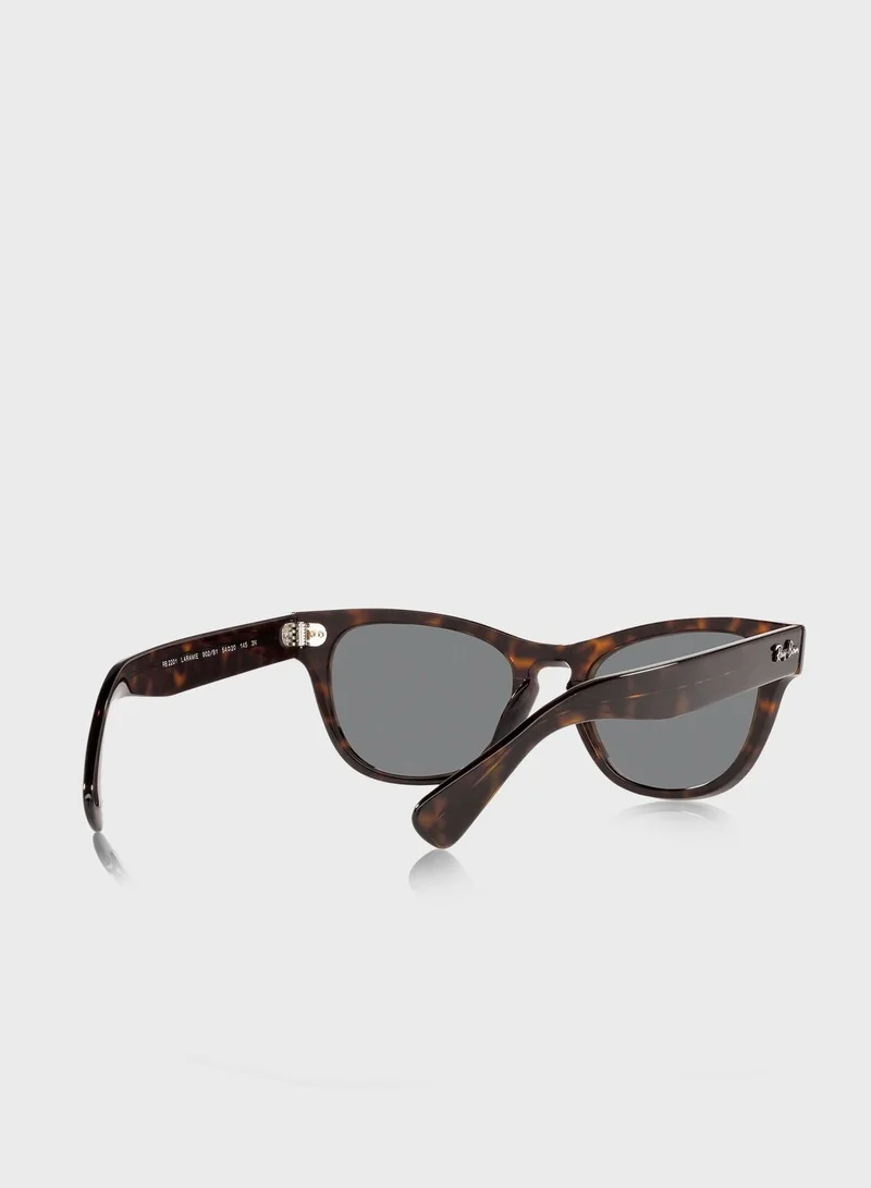 Ray-Ban 0Rb2201 Laramie Irregular Sunglasses