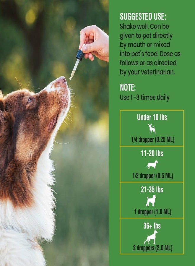 Special Breed Natural Intestinal Defense for Dogs, Herbal Cleanse with Wormwood, Black Walnut - Digestive Support Promotes Gut Health & Flora Balance, Advanced Broad Spectrum Formula - Made in The USA, 4oz - Image 5
