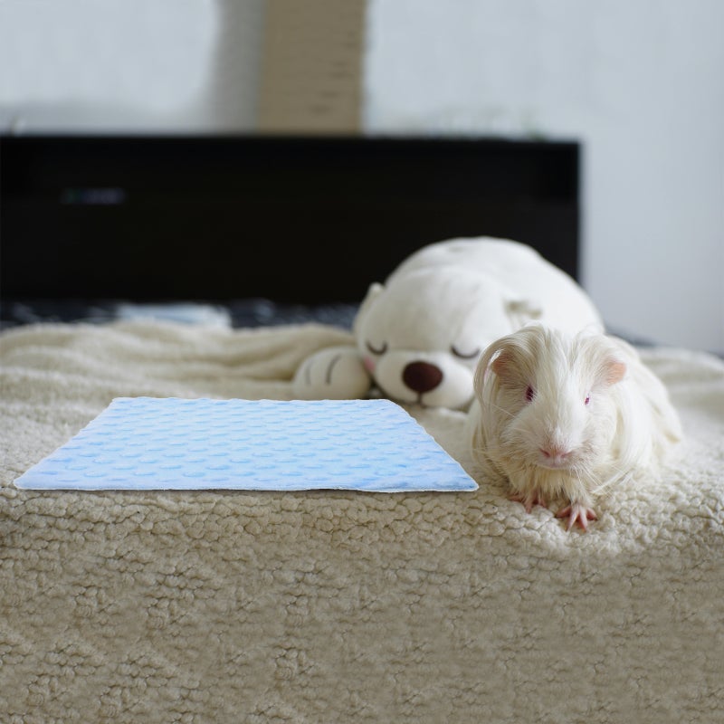 Hamster Blanket Liner Water Absorbing Pet Blanket Hamster Sleep Mat - Image 5