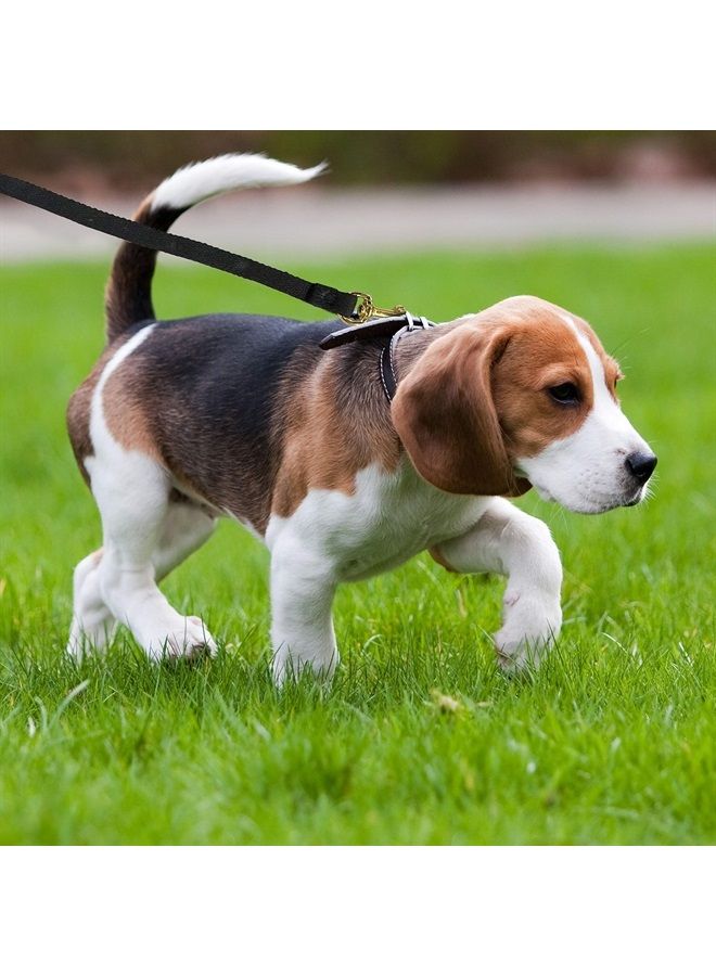 four paws Cotton Web Dog Training Lead, Black, 20-Foot