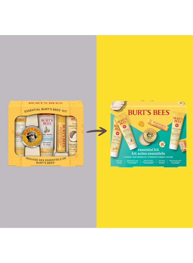 بيرتس بيز أفكار هدايا من Burt's Bees - مجموعة Essentials Everyday، 5 منتجات بحجم مناسب للسفر - كريم تنظيف عميق، مرهم لليدين، لوشن للجسم، كريم للقدمين، ومرطب شفاه أصلي - Image 2