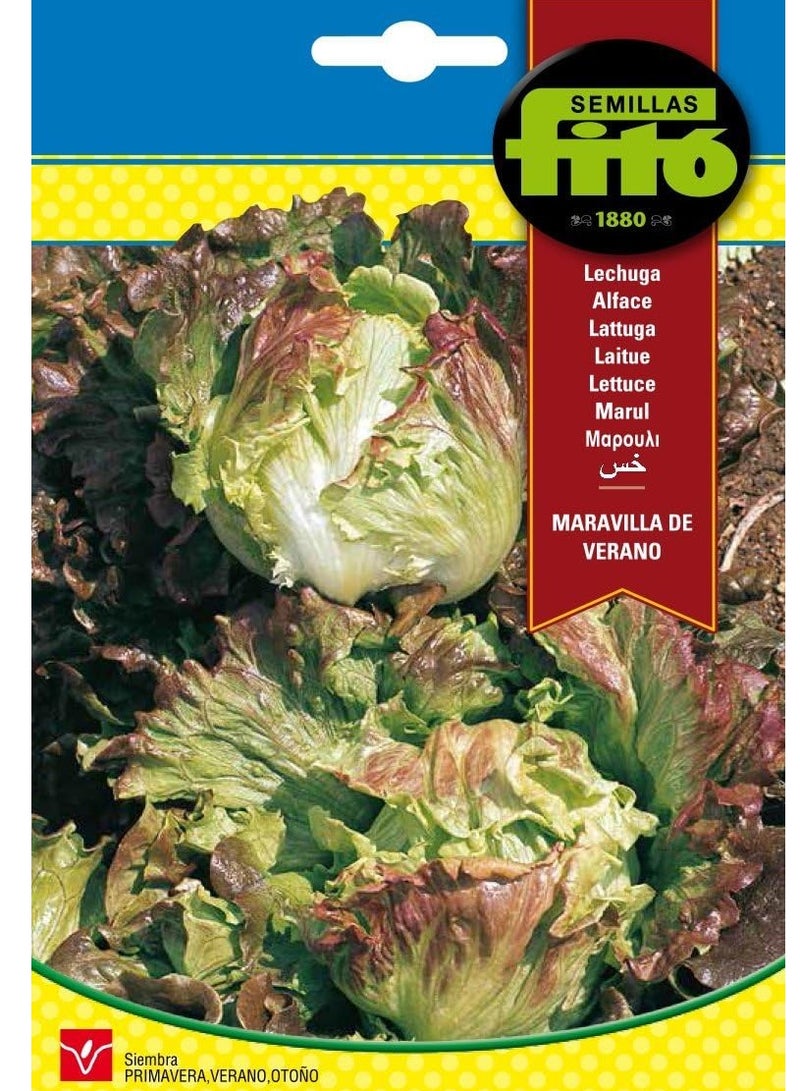 فيتو سيميلاس خس سمر مارفل - Image 1