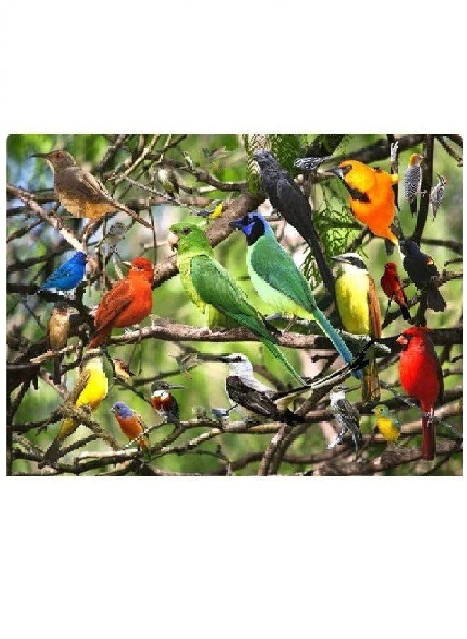 Puzzle game, 500 pieces, suitable for adults and children - imported (colored birds) 